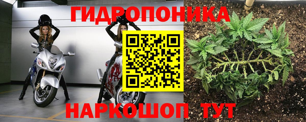 Шишки марихуана план  Бошки марихуана SATIVA & INDICA  Саки  Бошки Шишки планчик  Вход с VPN 